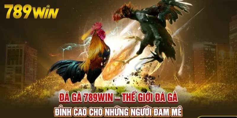 Quá trình giao dịch cực kỳ đơn giản, dễ  thao tác.